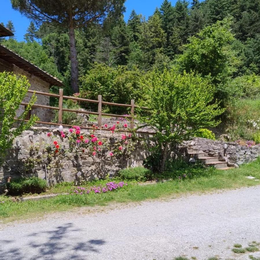 Fattoria Di Cintoia Villa Pontassieve Luaran gambar