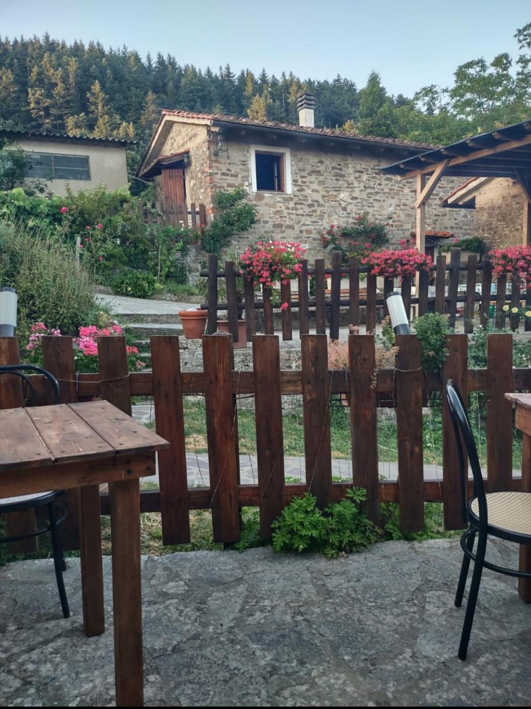 Fattoria Di Cintoia Villa Pontassieve Luaran gambar