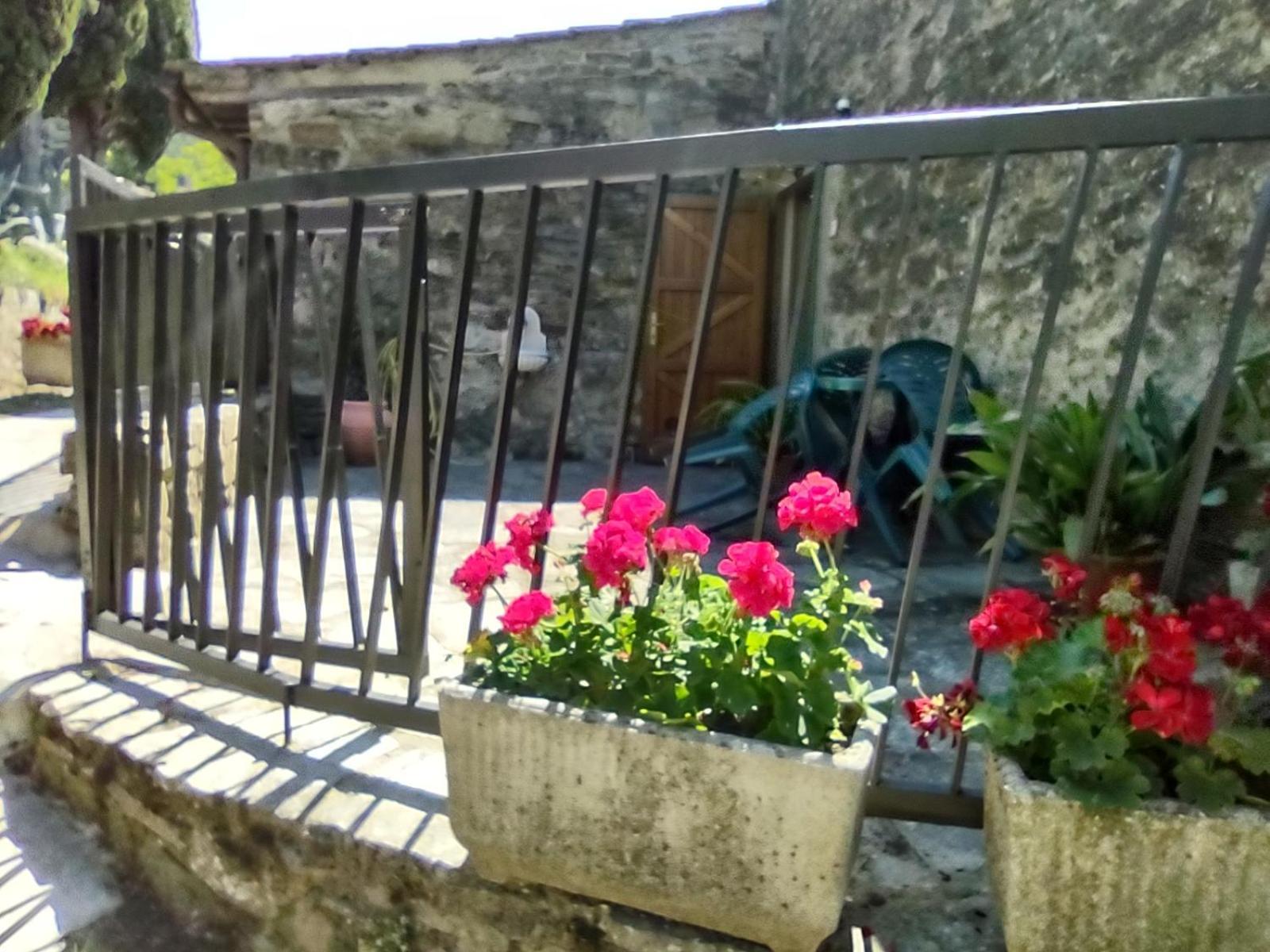 Fattoria Di Cintoia Villa Pontassieve Luaran gambar