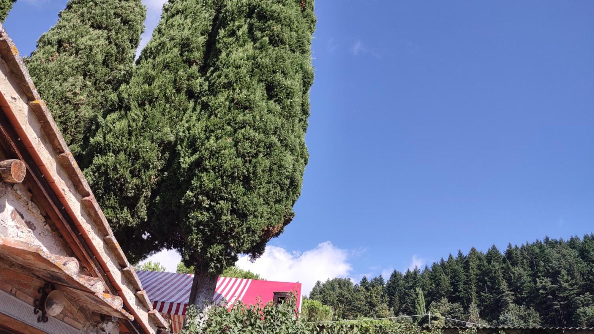 Fattoria Di Cintoia Villa Pontassieve Luaran gambar