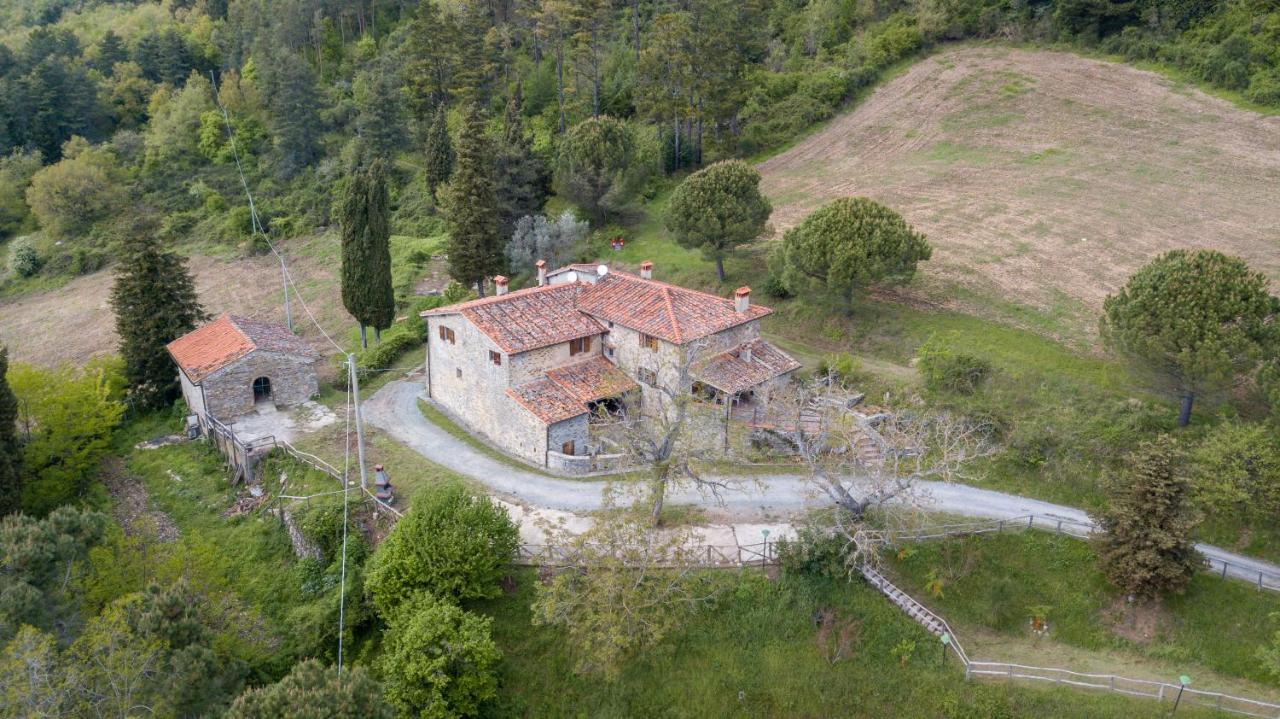 Fattoria Di Cintoia Villa Pontassieve Luaran gambar