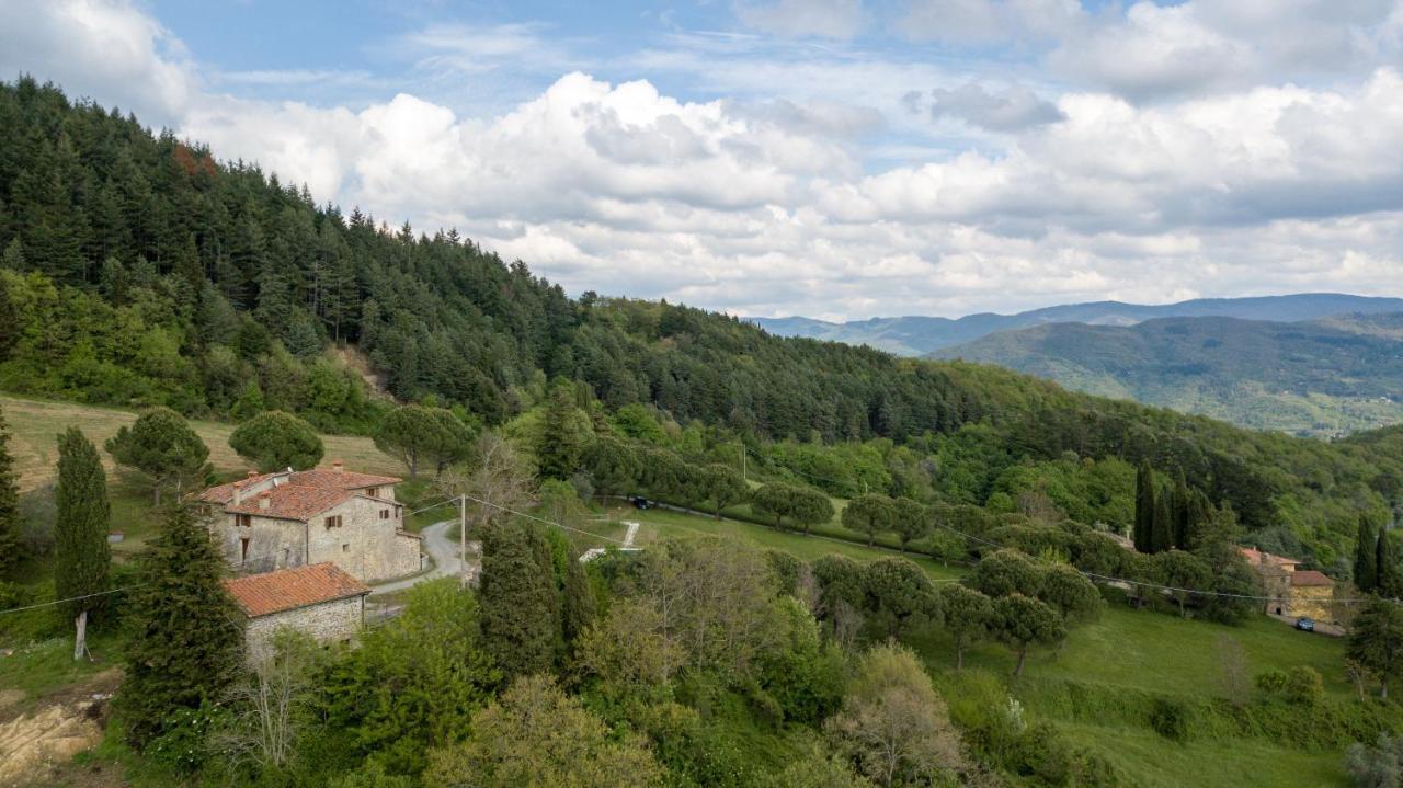 Fattoria Di Cintoia Villa Pontassieve Luaran gambar