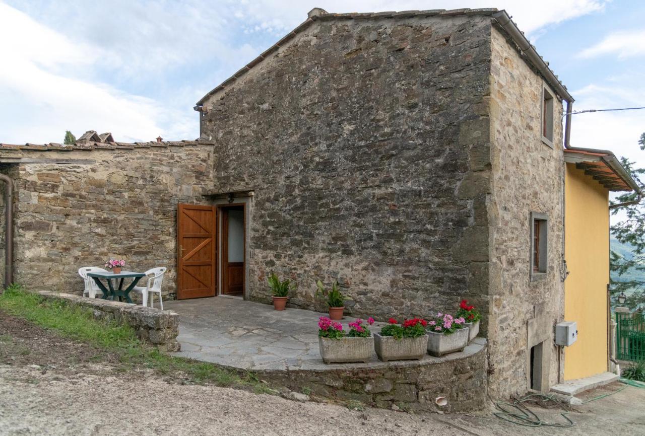 Fattoria Di Cintoia Villa Pontassieve Luaran gambar