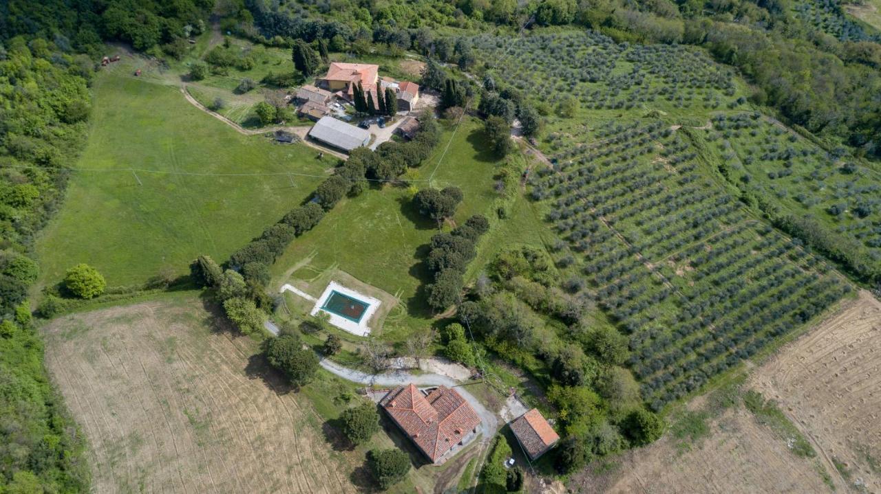 Fattoria Di Cintoia Villa Pontassieve Luaran gambar