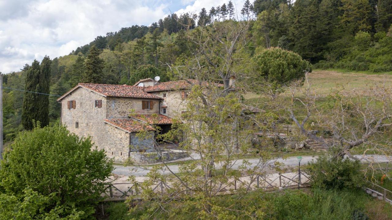 Fattoria Di Cintoia Villa Pontassieve Luaran gambar