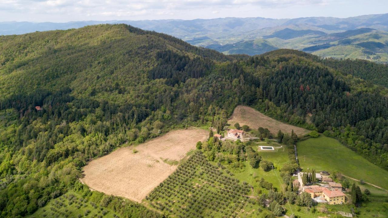 Fattoria Di Cintoia Villa Pontassieve Luaran gambar